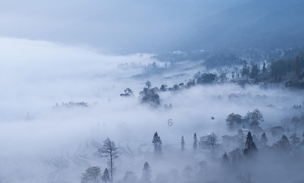 虫虫助手下载